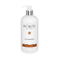 NEUTRALIZADOR DE ÁCIDO 500ML - NOREL